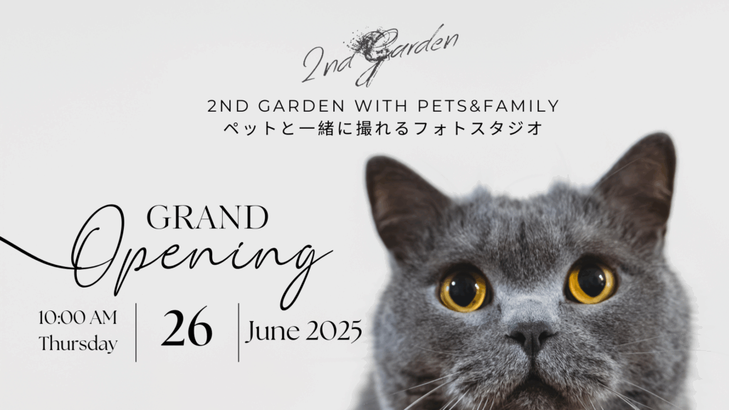 PetPhoto