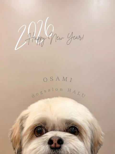 .
◎おさ美ちゃん
✦┈┈┈┈┈┈┈┈┈┈┈┈┈┈┈✦
@2ndgarden__withpets
ペットと一緒に撮影できる開放的な路面スタジオ
柔らかな光とナチュラルな世界観で
いつもの表情をちょっぴり特別に𓆸 𓈒𓏸
トリミング後にそのまま撮影もできます❅*॰ॱ
#トリミング#ドックサロン#相模原市#ひとりまー