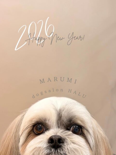 .
◎まる美ちゃん
✦┈┈┈┈┈┈┈┈┈┈┈┈┈┈┈✦
@2ndgarden__withpets
ペットと一緒に撮影できる開放的な路面スタジオ
柔らかな光とナチュラルな世界観で
いつもの表情をちょっぴり特別に𓆸 𓈒𓏸
トリミング後にそのまま撮影もできます❅*॰ॱ
#トリミング#ドックサロン#相模原市#ひとりまー